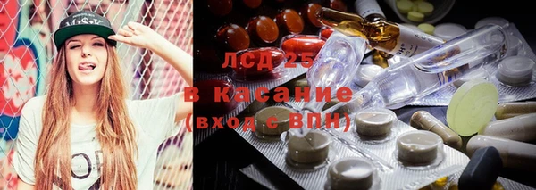 ешки Алексин