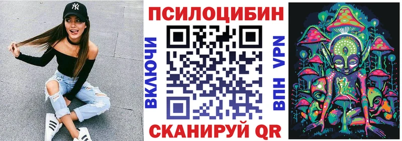 Псилоцибиновые грибы Psilocybe  Цимлянск 